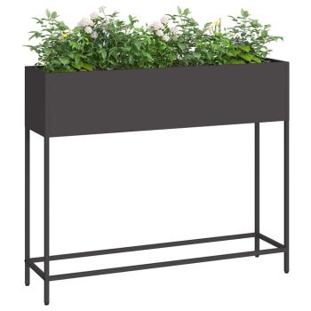 Hochbeet 100x26x82 cm Schwarz Stahl
