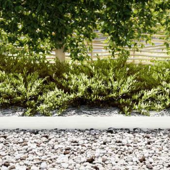 Rasenbegrenzungen 20 Stück Weiß 100x0,5x15 cm Stahl