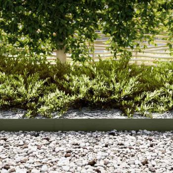 Rasenkanten 20 Stück Olivgrün 100x0,5x15 cm Stahl