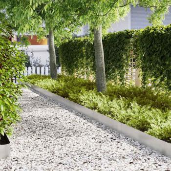 ARDEBO.de - Rasenbegrenzungen 10 Stück 100x0,5x20 cm Edelstahl