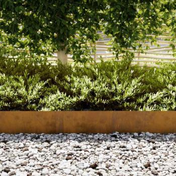 Rasenbegrenzungen 30 Stück 100x0,5x20 cm Wetterstahl