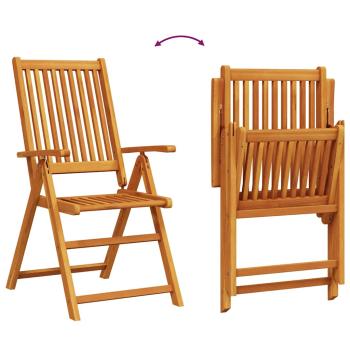 9-teiliges Garten-Esstisch-Set aus massivem Akazienholz, klappbar