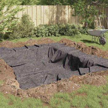 ARDEBO.de - Teichvlies 300 g/? 1x10 m