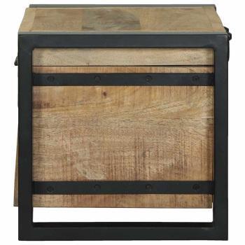 Lagertruhen 40x30x30cm aus massivem Mango-Holz und Metall
