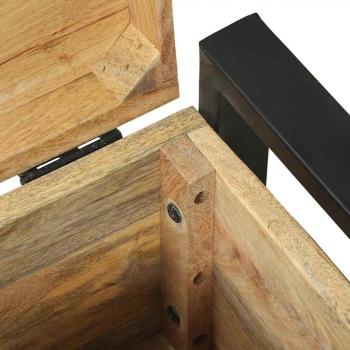 Lagertruhen 40x30x30cm aus massivem Mango-Holz und Metall