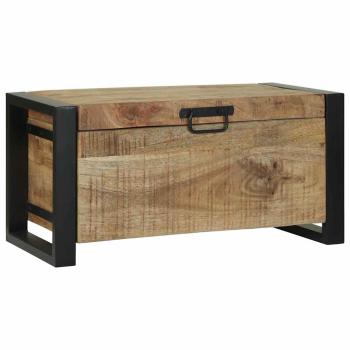 Aufbewahrungstruhen 60x30x30cm aus massivem Mango-Holz und Metall