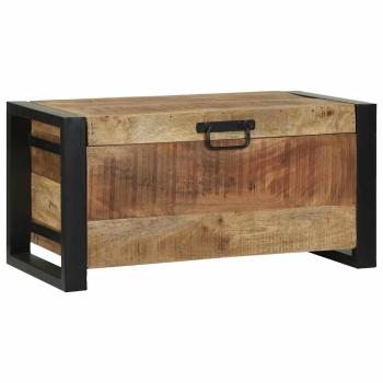 Aufbewahrungstruhen 60x30x30cm aus massivem Mango-Holz und Metall