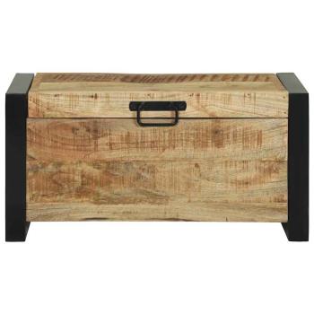 Aufbewahrungstruhen 60x30x30cm aus massivem Mango-Holz und Metall