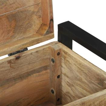 Aufbewahrungstruhen 60x30x30cm aus massivem Mango-Holz und Metall