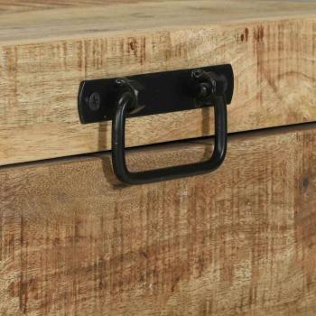 Aufbewahrungstruhen 60x30x30cm aus massivem Mango-Holz und Metall