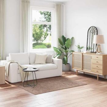 ARDEBO.de - Shaggy-Teppich mit Latexbeschichtung Braun 120x170 cm