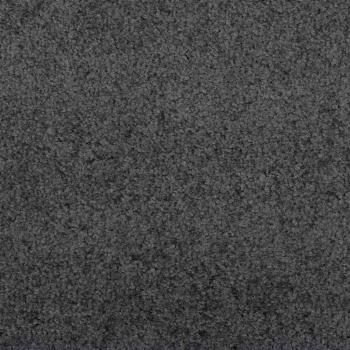 Fußmatte waschbar Anthrazit 120x400 cm