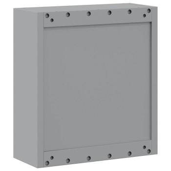 Werkzeugschrank Wandmontage Schwarz 50x20x55 cm Stahl