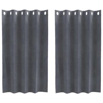 Verdunkelungsvorhänge mit Ösen 2 Stück Super Hellgrau Samt