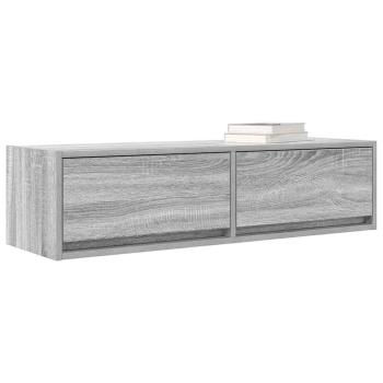 TV-Schrank Grau Sonoma 100x31x25,5 cm Holzwerkstoff