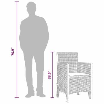 Gartenstuhl Set von 2 Anthrazit, Cremeweiß Kunststoff-Rattan