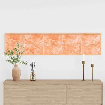 ARDEBO.de - Salzsteine 10 Stück 20x10x2,5 cm 11,5 kg Pink