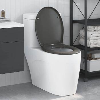 ARDEBO.de - Schnellverschluss-Toilettensitz mit sanfter Schließfunktion Duroplast Anthrazit