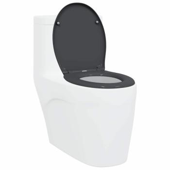 Schnellverschluss-Toilettensitz mit sanfter Schließfunktion Duroplast Anthrazit