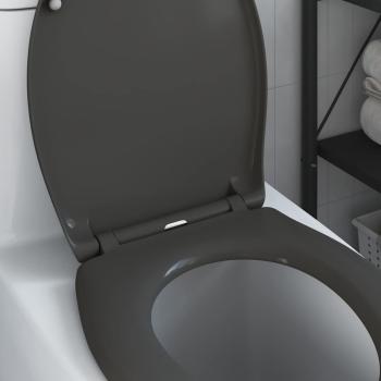 Schnellverschluss-Toilettensitz mit sanfter Schließfunktion Duroplast Anthrazit