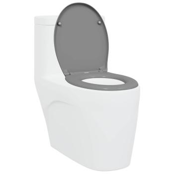 Schnellverschluss-Toilettensitz mit sanftem Schließen Duroplast Grau