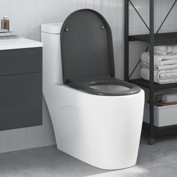 ARDEBO.de - Schnellverschluss Toilettensitz mit sanfter Schließung Duroplast Anthrazit