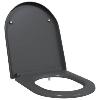 Schnellverschluss Toilettensitz mit sanfter Schließung Duroplast Anthrazit