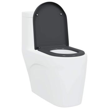 Schnellverschluss Toilettensitz mit sanfter Schließung Duroplast Anthrazit