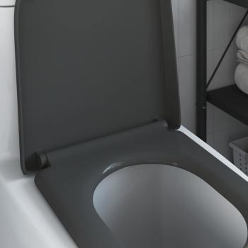 Schnellverschluss Toilettensitz mit sanfter Schließung Duroplast Anthrazit