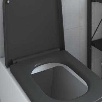 ARDEBO.de - Toilettensitz mit Schnellverschluss und sanftem Schließen Duroplast Anthrazit