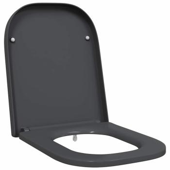 Toilettensitz mit Schnellverschluss und sanftem Schließen Duroplast Anthrazit