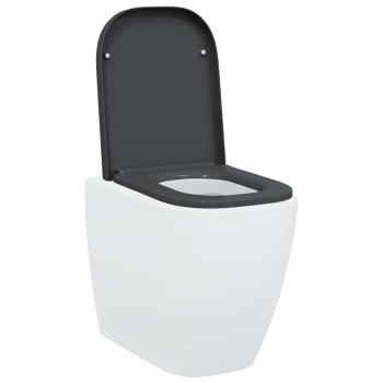 Toilettensitz mit Schnellverschluss und sanftem Schließen Duroplast Anthrazit