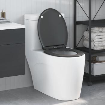 ARDEBO.de - Quick Release Toilettensitz mit sanftem Schließen Duroplast Anthrazit