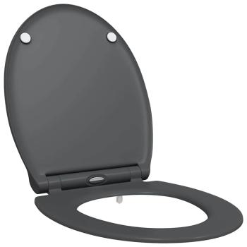 Quick Release Toilettensitz mit sanftem Schließen Duroplast Anthrazit