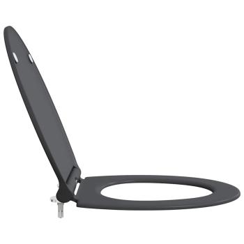 Quick Release Toilettensitz mit sanftem Schließen Duroplast Anthrazit