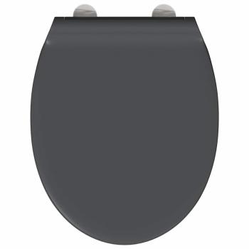 Quick Release Toilettensitz mit sanftem Schließen Duroplast Anthrazit