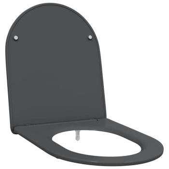 Klo mit Schnellverschluss und sanftem Schließmechanismus aus Duroplast in Anthrazit