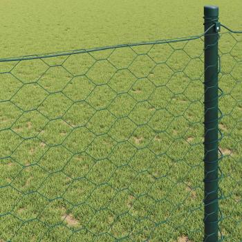 Sechseckzaun Grün PVC-beschichteter Draht 5000 x 0.09 x 80 cm