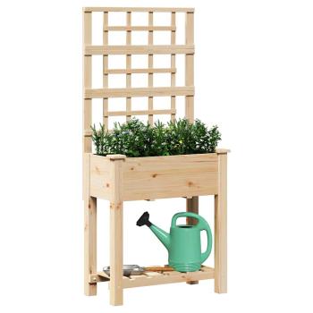 Gartenpflanzer mit Spalier & Regal 71x37x152 cm aus massivem Holz Kiefer