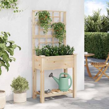 Gartenpflanzer mit Spalier & Regal 71x37x152 cm aus massivem Holz Kiefer