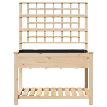 Gartenpflanzer mit Rankgitter und Regal 115x59x152 cm Massivholz Kiefer