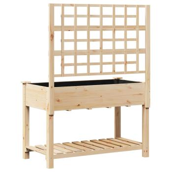 Gartenpflanzer mit Rankgitter und Regal 115x59x152 cm Massivholz Kiefer