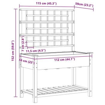 Gartenpflanzer mit Rankgitter und Regal 115x59x152 cm Massivholz Kiefer