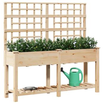Gartenpflanzer mit Spalier und Regal 161x43x152 cm aus massivem Kiefernholz
