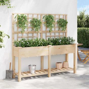 Gartenpflanzer mit Spalier und Regal 161x43x152 cm aus massivem Kiefernholz
