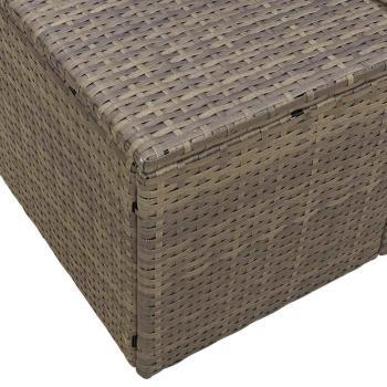 2-Sitzer Gartensofa mit Stauraum und Kissen Grau Poly Rattan
