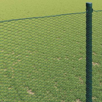 Sechseckzaun Grün 1x50 m Stahl