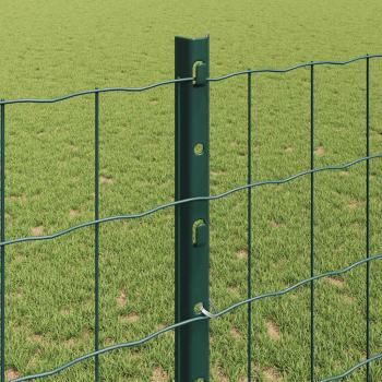 Gartenzaunrolle Set aus 2 Grün Pulverbeschichteter Stahl