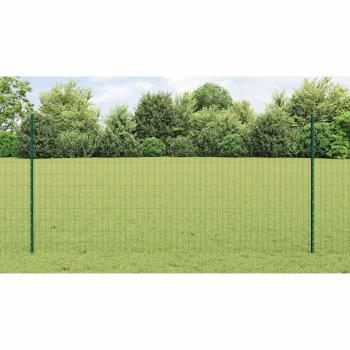 Euro-Zaun Set 2er Set Grün Pulverbeschichteter Stahl 25 x 1,2 m