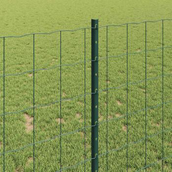 Euro Zaunset Set von 2 Grün Metall 25 x 1 m Langlebig